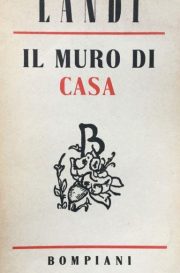 il_muro_di_casa